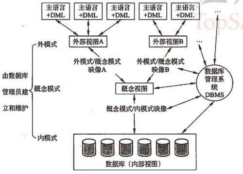 軟考學習筆記 系統架構設計師教程 第二章 計算機網絡基礎知識——計算機系統服務